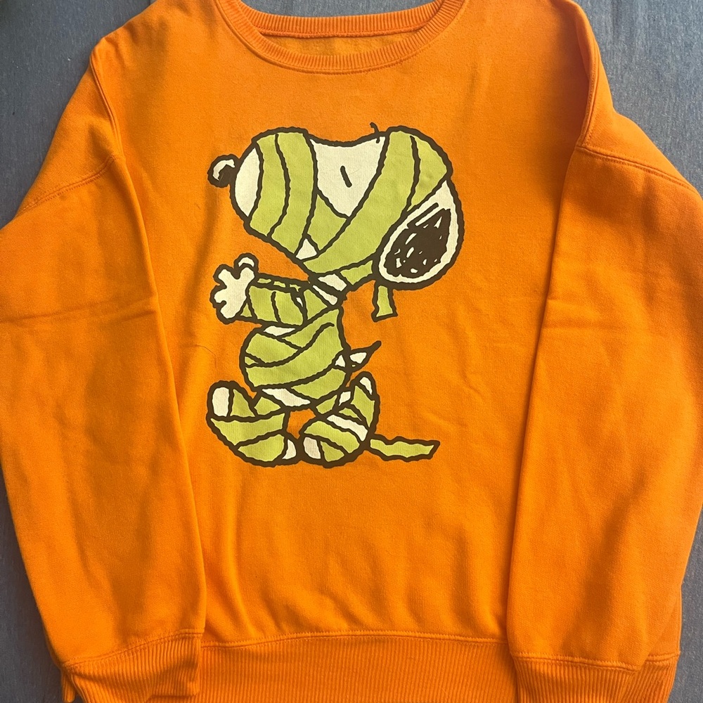 Snoopy Halloween sweatshirt